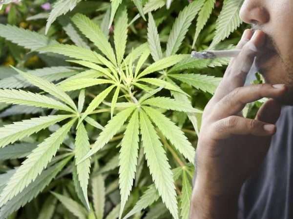 Adolescentes y porros