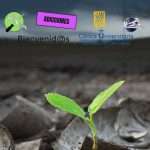 recuperarse es posible