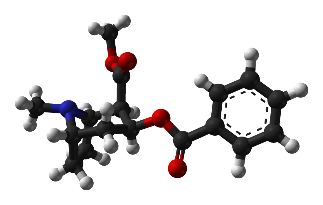 Molécula cocaína