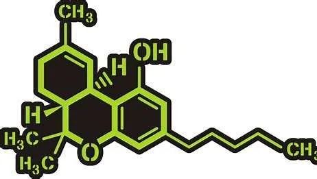 Definicion THC