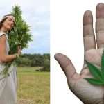 El Cannabis y su Influencia en la Adolescencia: Efectos en el Cerebro y la Salud Mental