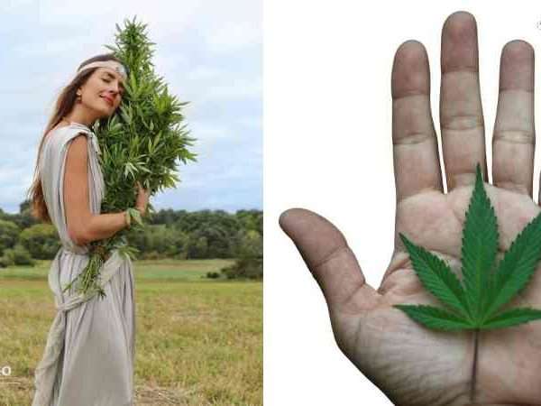 El Cannabis y su Influencia en la Adolescencia: Efectos en el Cerebro y la Salud Mental
