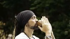 Ayahuasca